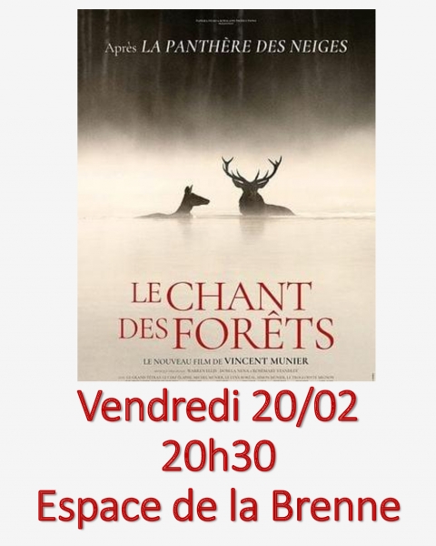 Le-chant-des-forêts